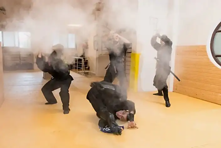 ninja-ve-golge-sanati-kitap-2